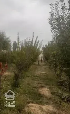 فروش زمین 200 متر در تهران دشت