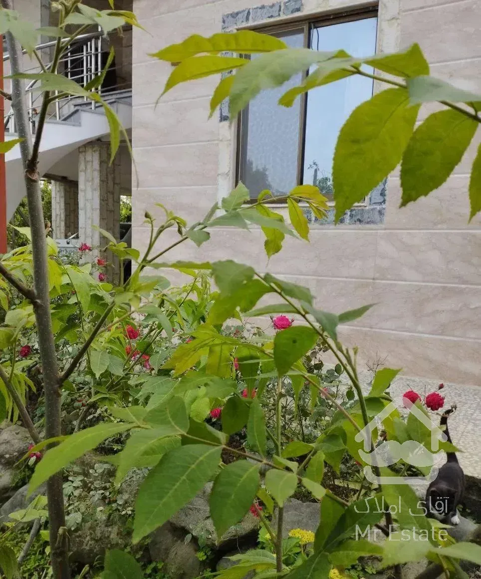 ویلا باغ یک خوابه محوطه باکلاس