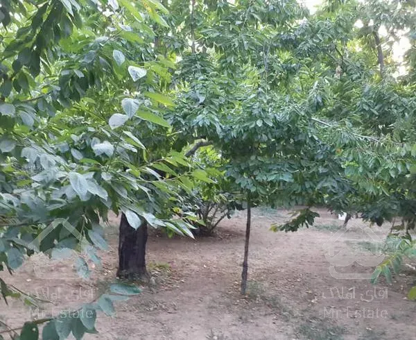 باغچه دارای ۸۰۰متر زمین ودرختان میوه در کوهسار