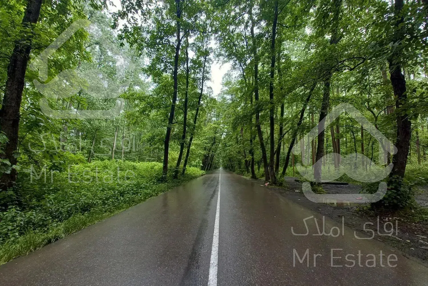 اجاره کلبه چوبی جاده کیاشهر(تونل جنگلی صفرابسته)