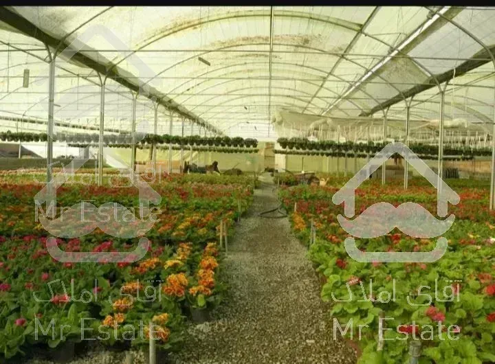 متقاضی خرید گلخانه در شمال