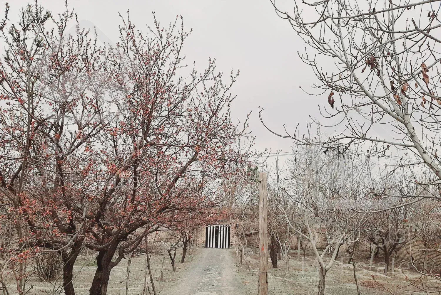 اجاره سوییت باغ ویلا