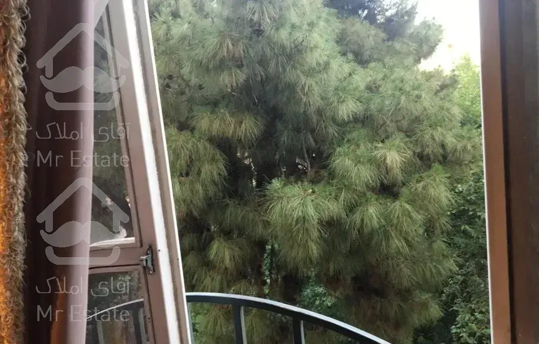 ۱۱۵ متر ونک ملاصدرا فرعی دنج