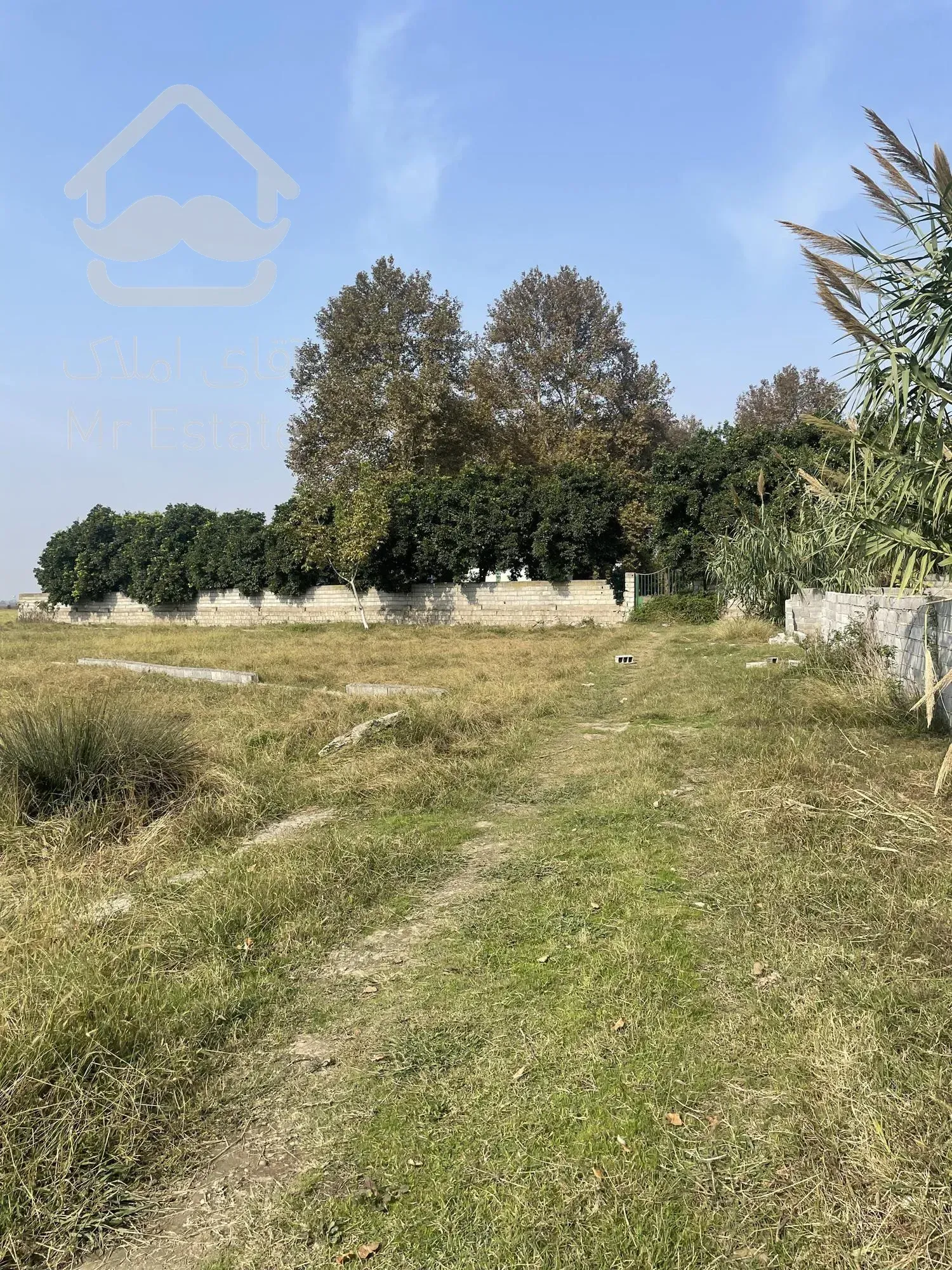 با ۳۰۰ میلیون صاحب زمین شوید