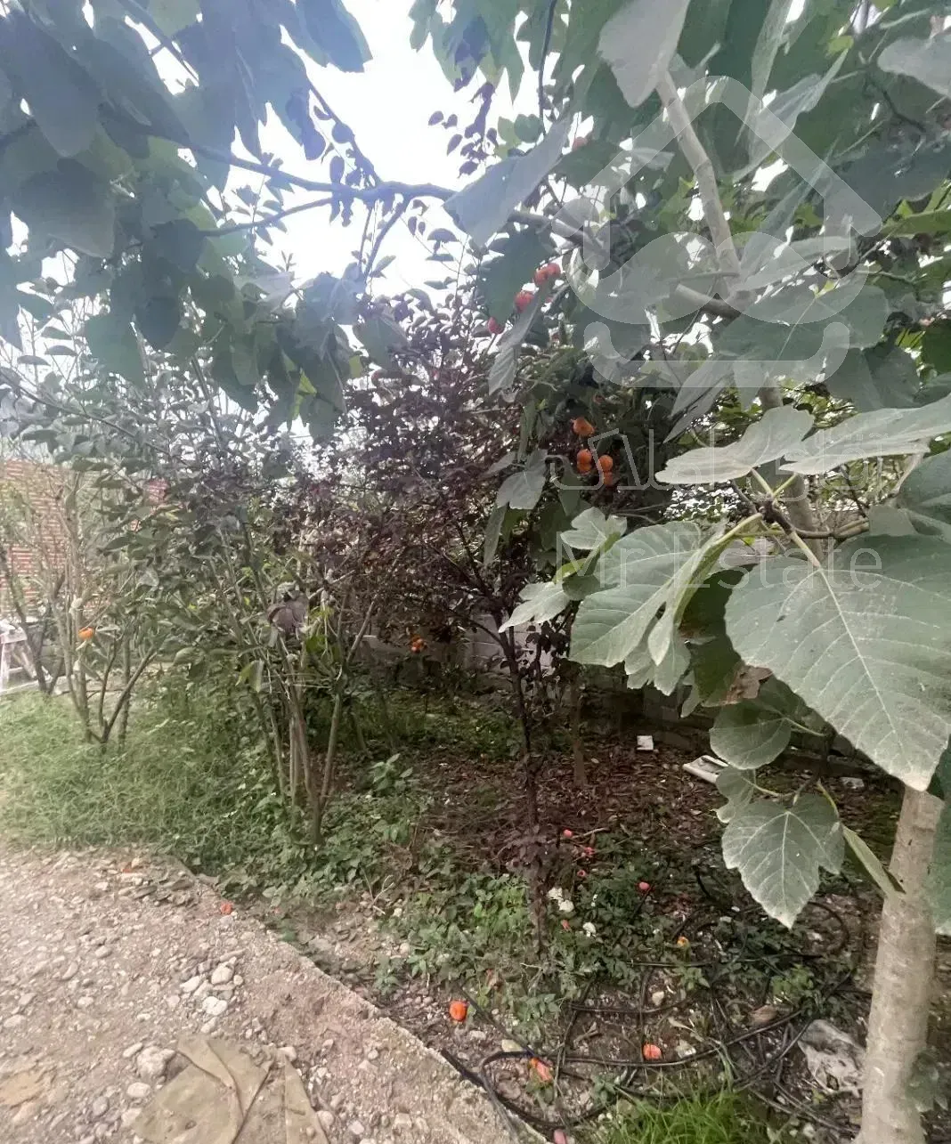 باغ ویلا نوساز کلید نخورده قیمت ۳/۷۰۰