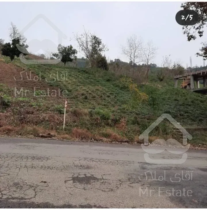 فروش زمین با ویو عالی ، (لاهیجان کوه بیجار)