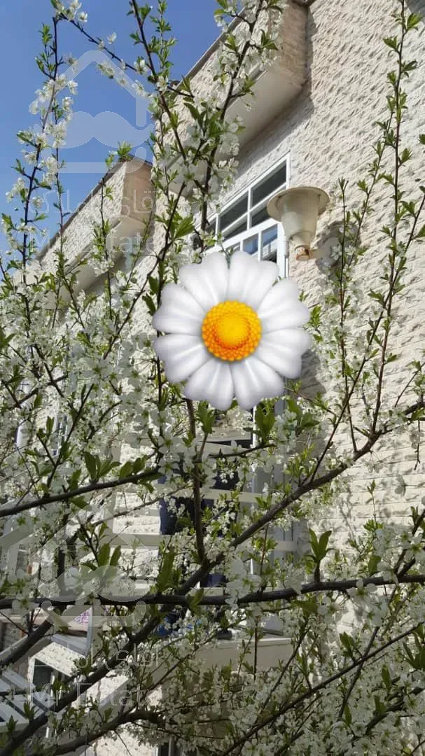 خانه نقلی وکاملا بازسازی شده (درحدنو)