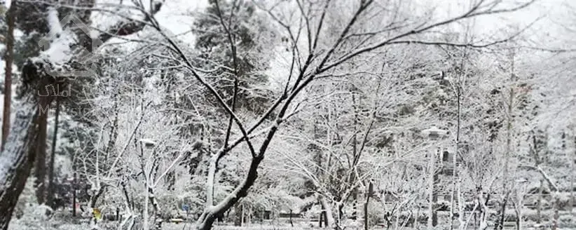 ۱۰۰ متری/پارک ساعی/آرژانتین/کم سال/ارزنده