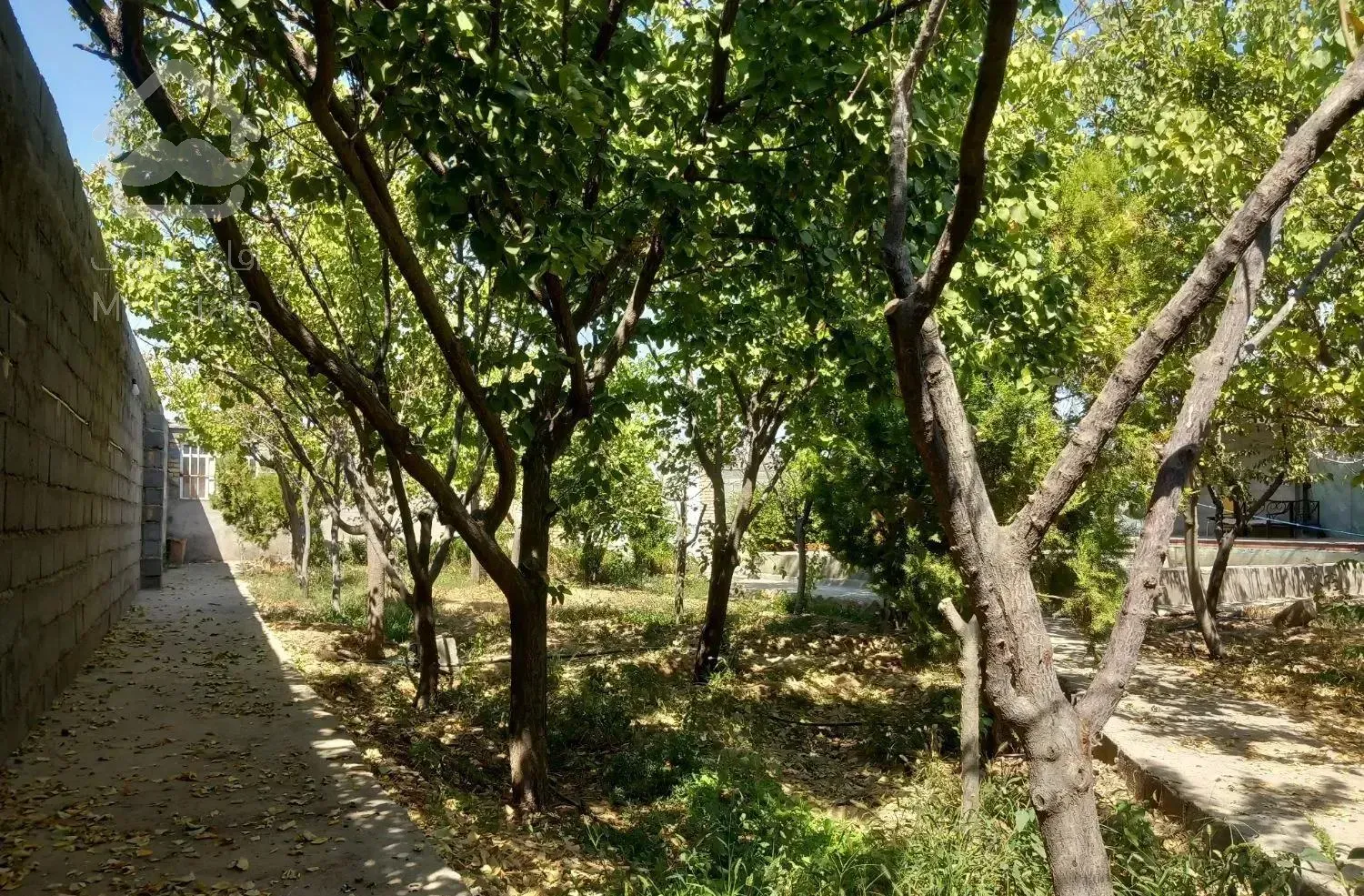 باغ ۸۰۰م با امتیاز آب برق آرامگاه فردوسی زاک