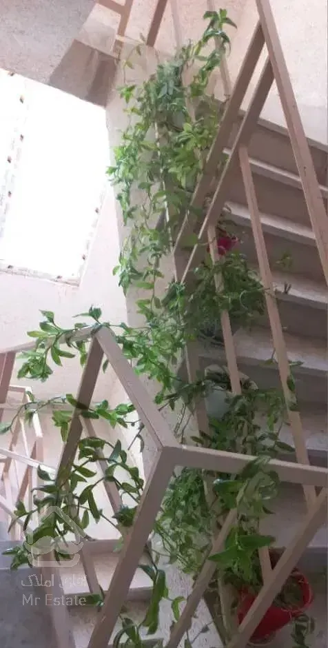 آپارتمان ۵۰ متر ۱خوابه         احمدی