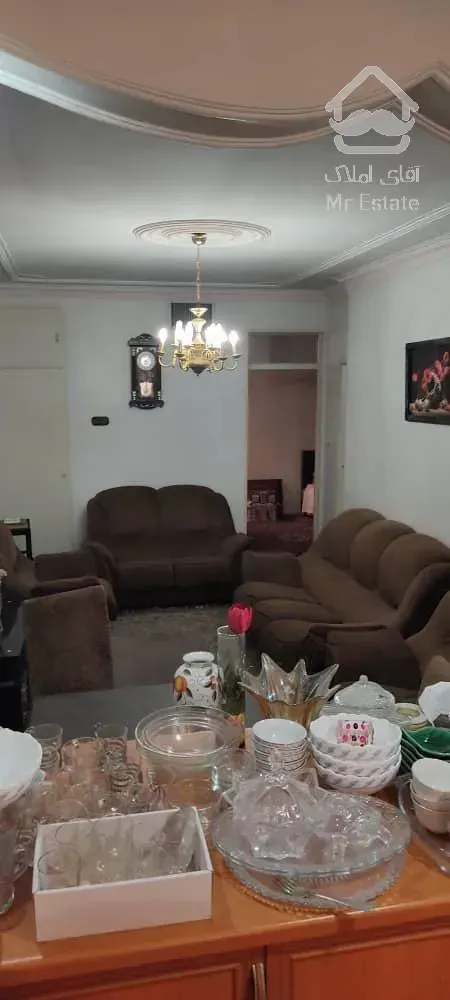 ۵۱متری یک خوابه دامپزشکی