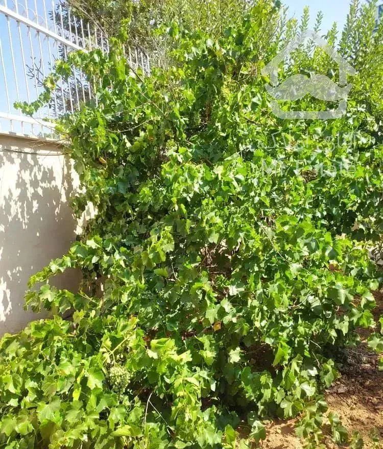 ۵۰۰ متر باغ ویلا  فوق