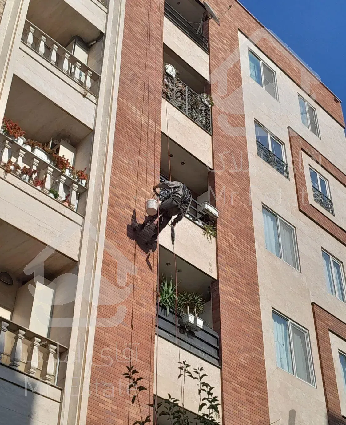 خدمات پیچ ورولپلاک شستشو  راپل طناب کل تهران