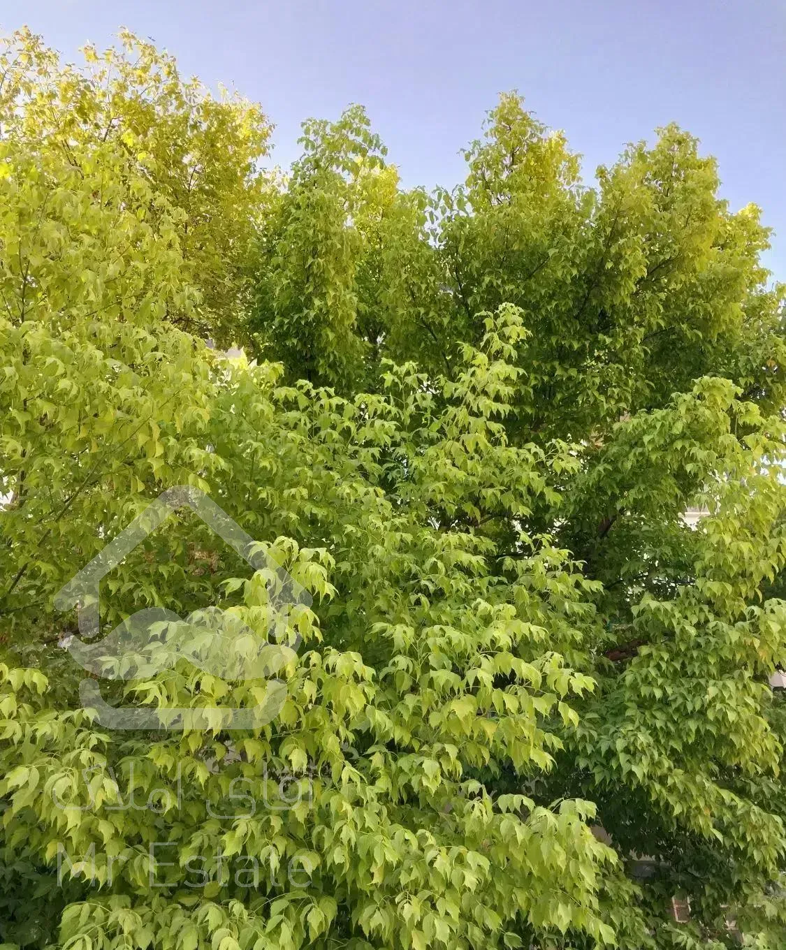 فروش آپارتمان شهرک امام حسین همکف