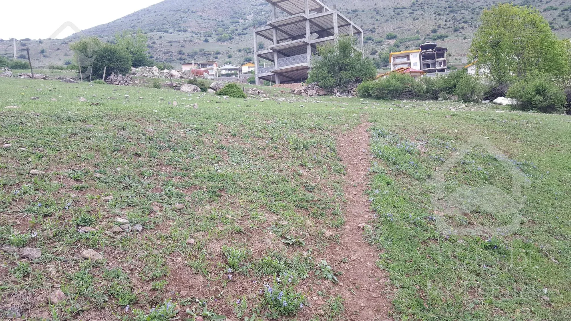 فروش زمین ییلاقی در روستای ولی آباد