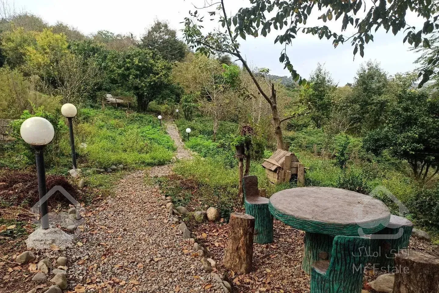 ویلای جنگلی با ویوی ابدی