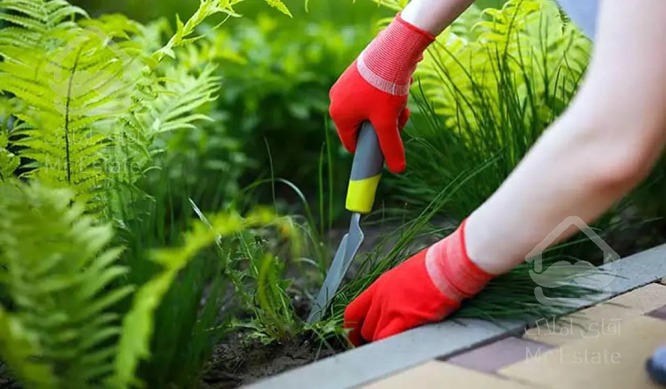 خدمات باغبانی ودرخت کاری با مهر وفاکتور