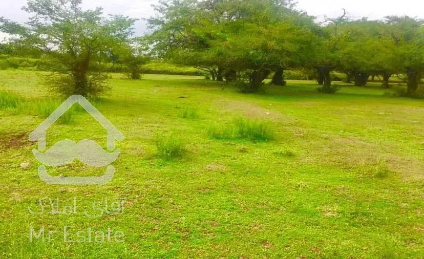 فروش ۲ هکتار زمین محدوده منطقه آزاد انزلی بر جاده اصلی