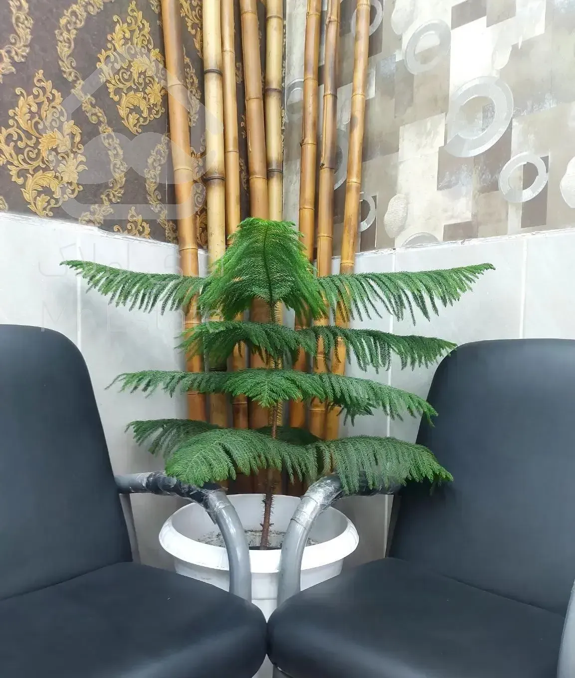 ساری کنار رهن و اجاره ۱۴۰ متری۳خواب۱/۶۰۰