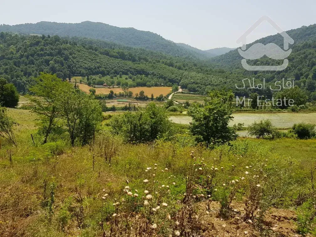 فروش زمین مازندران 43000  متر لاکچری