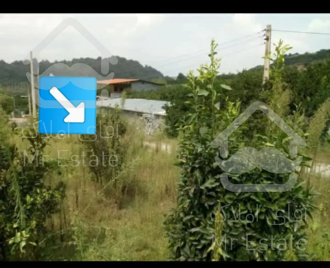 زمین مسکونی در روستای سرسبز و توریستی سیدابوصالح