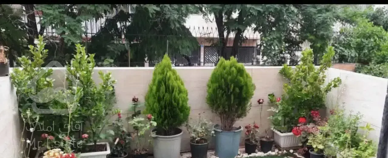 ۱۲۱ متر اوایل رضا شهر