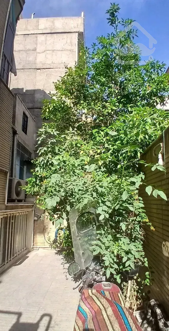 اجاره آپارتمان ۶۶ متری ۱ خوابه زیر همکف در خرمشهر