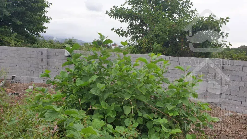 زمين سنددار داخل بافت اميرود٣٨٥متري