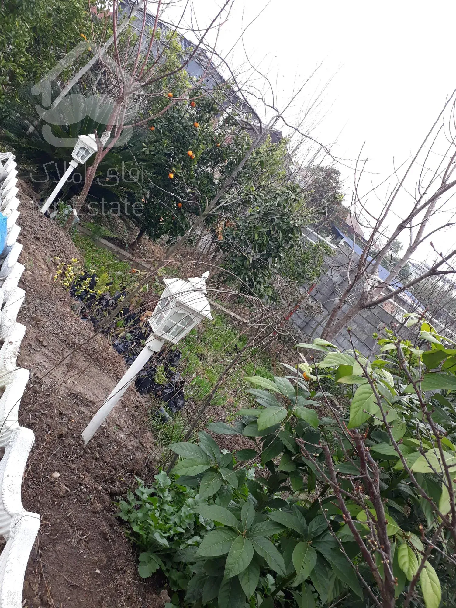 ویلا باغ چالوس