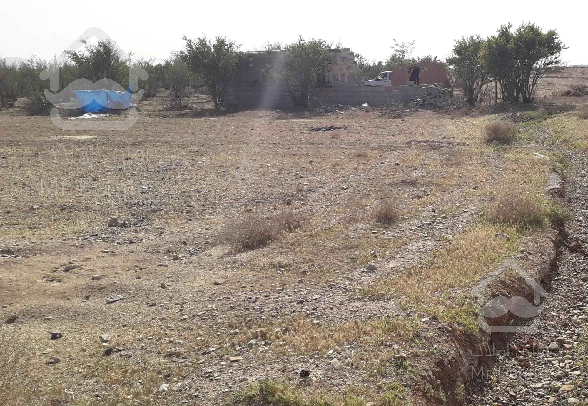 زمین کشاورزی و باغ