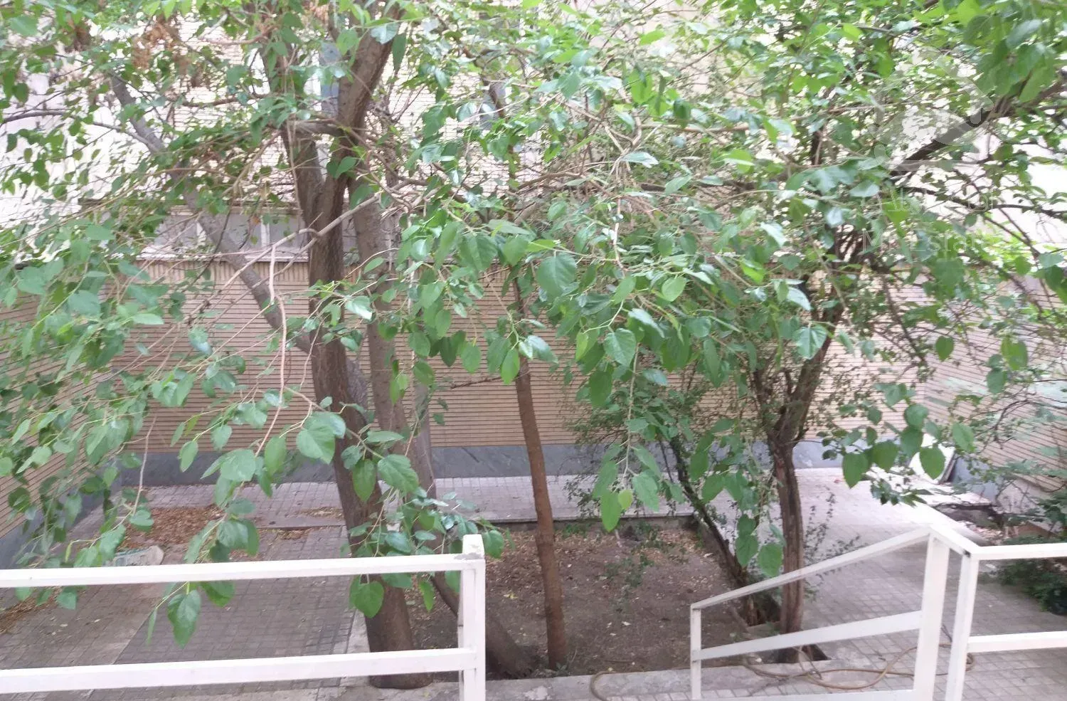 ۵۴متر ۱خواب+۵۰مترحیاط/دبستان‌سیدخندان/۵دقیقه‌مترو