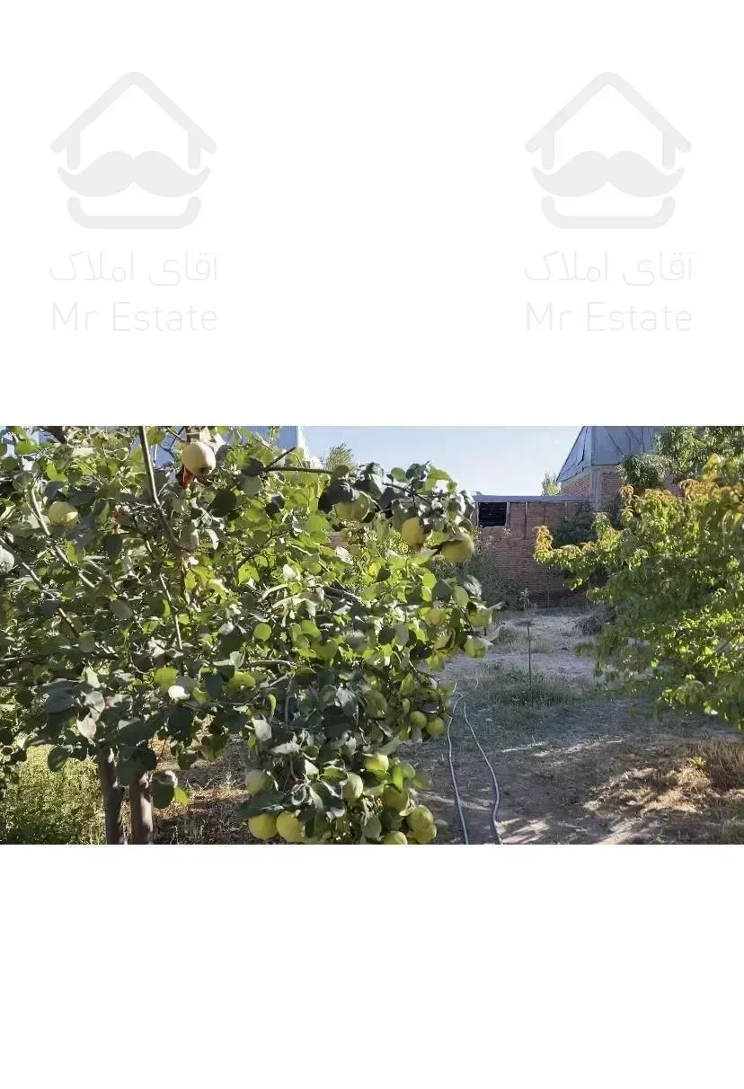 ویلا باغ سند تک برگ توریستی