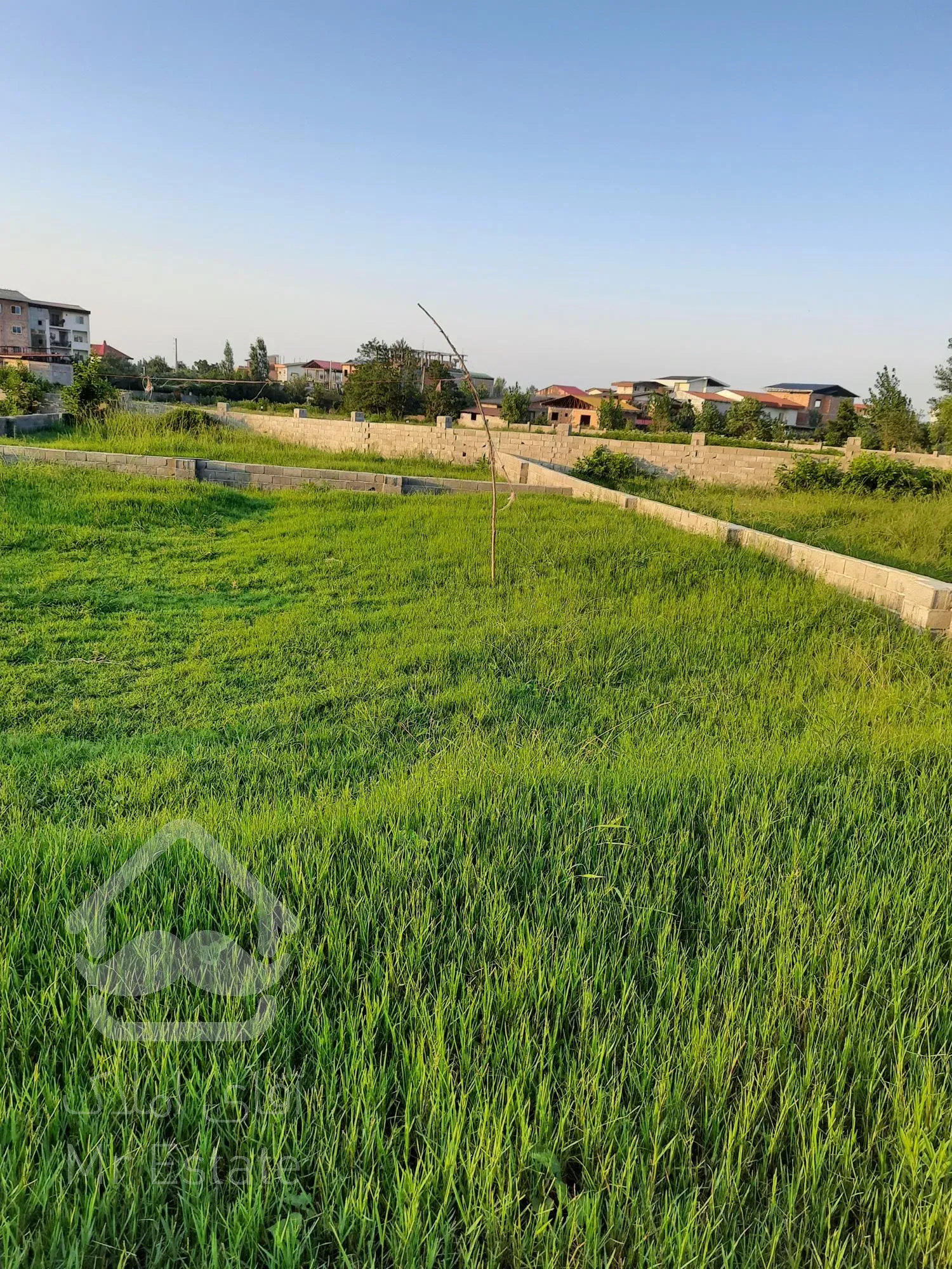 فروش یک قطعه زمین واقع در چالوس