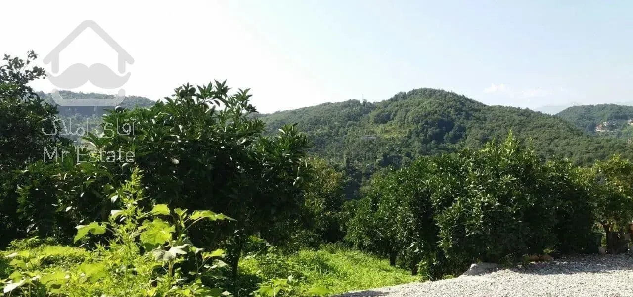 اجاره ویلا جنگلی با فوتبال دستی، و ویو شهر و دریا