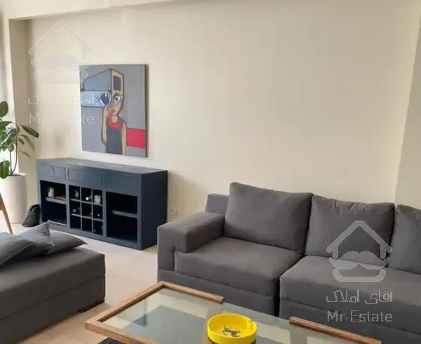 آپارتمان ۱۰۰متر ۲خواب مستر شیک و مدرن در زعفرانیه