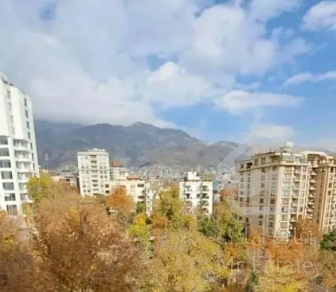 ۱۷۵ متر / فرمانیه شرقی / تکواحدی / ۳ پارکینگ