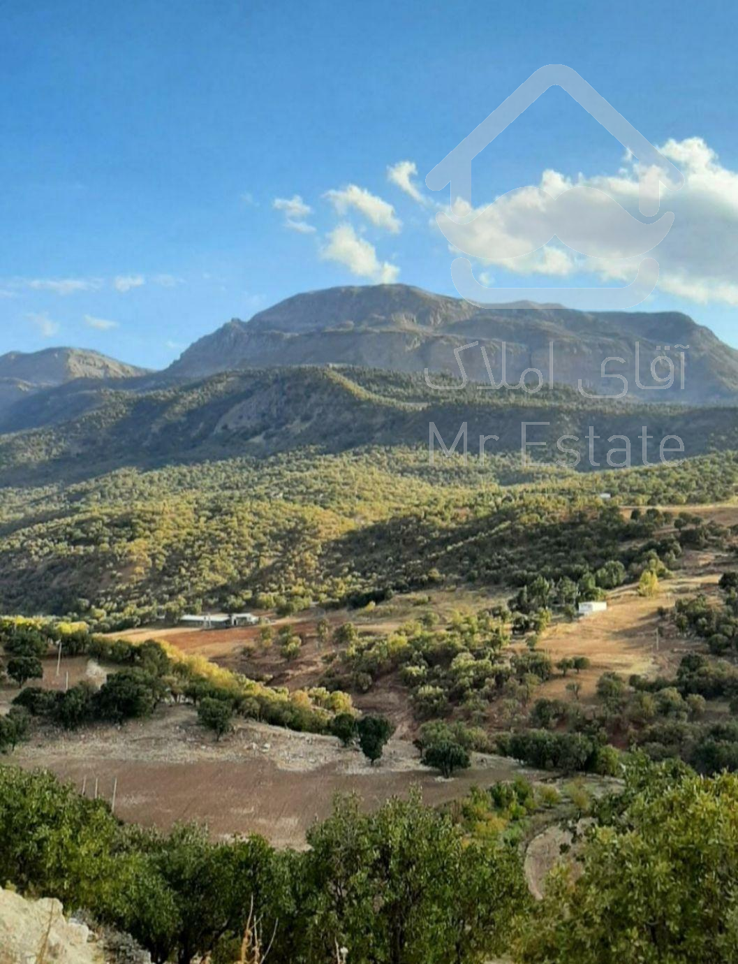 اجاره ویلای جنگلی در روستای تا ف با طبیعتی بکر