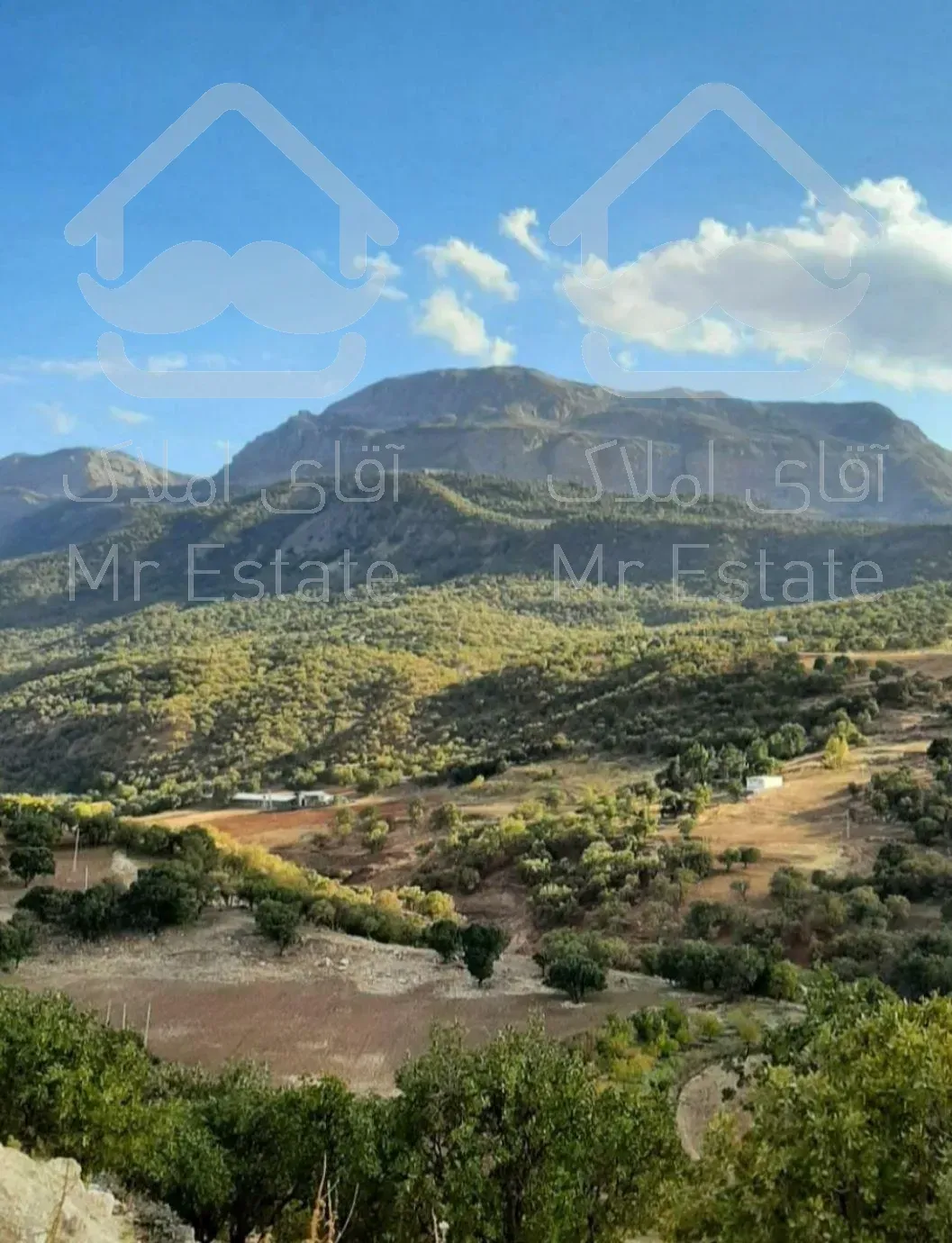 اجاره ویلای جنگلی در روستای تا ف با طبیعتی بکر