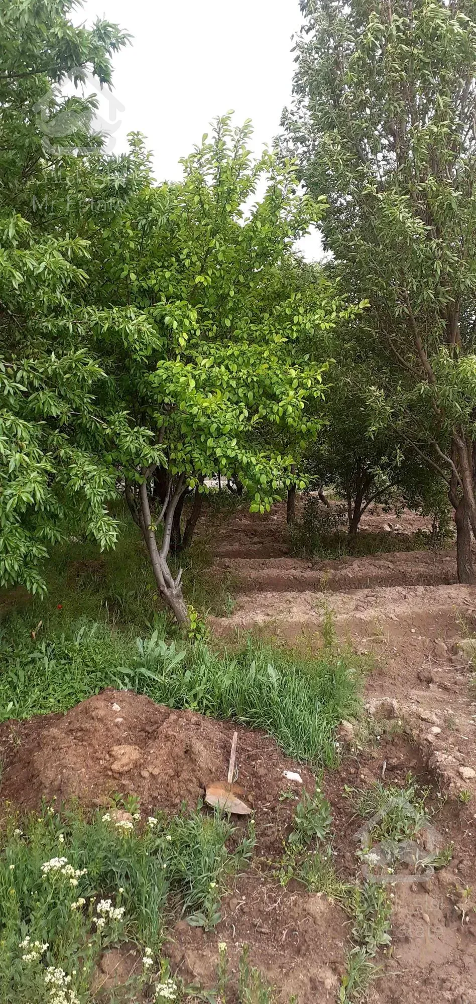 ویلا باغ دارای همه اماکانات در تبریز