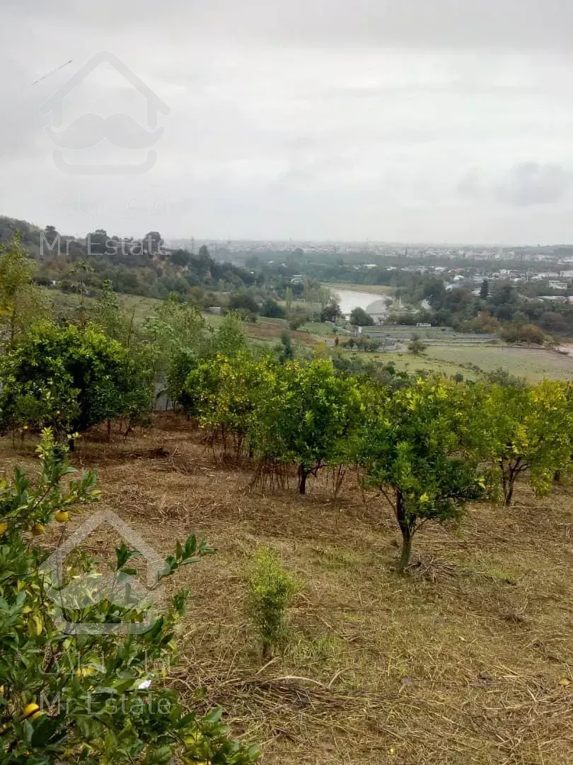 باغ ۱۳۰۰۰ متری در مازندران