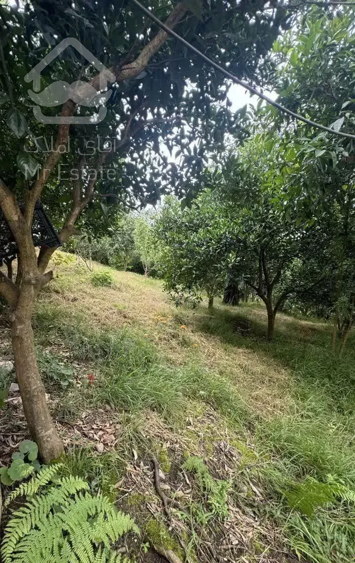 خانه ویلایی با ۱۲۰۰ متر باغ در بابلکنار