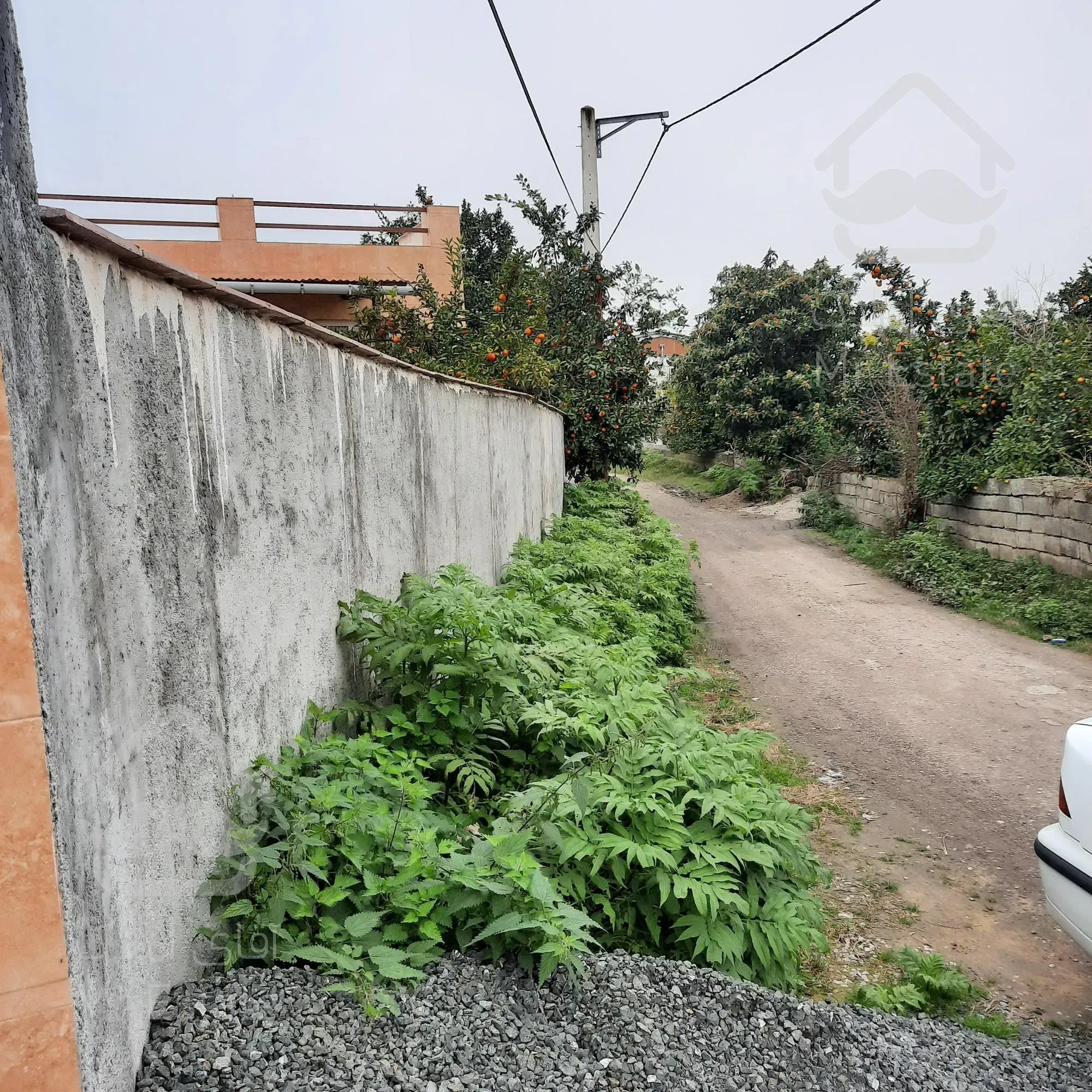 فروش ویلا جنگلی