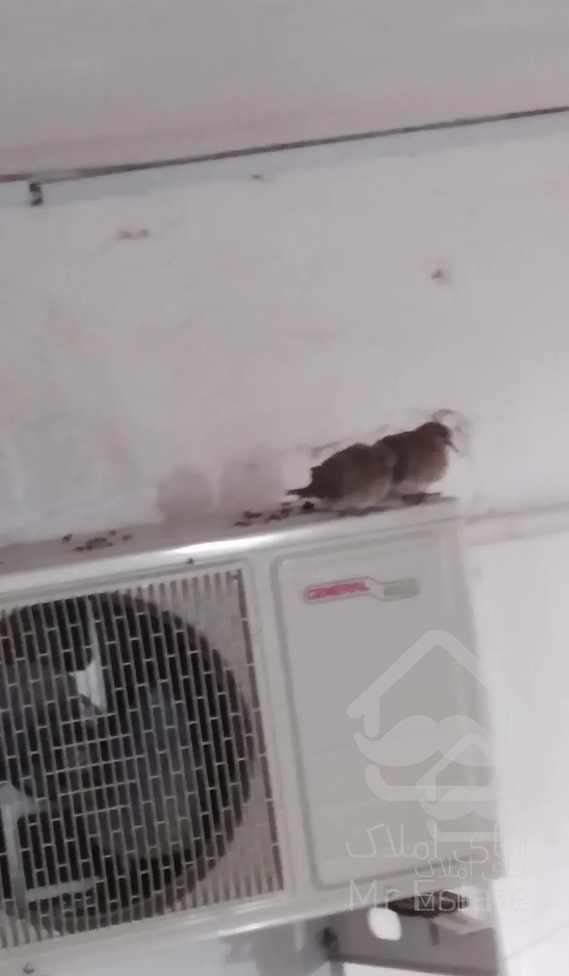 خانه و املاک در بهمن 2