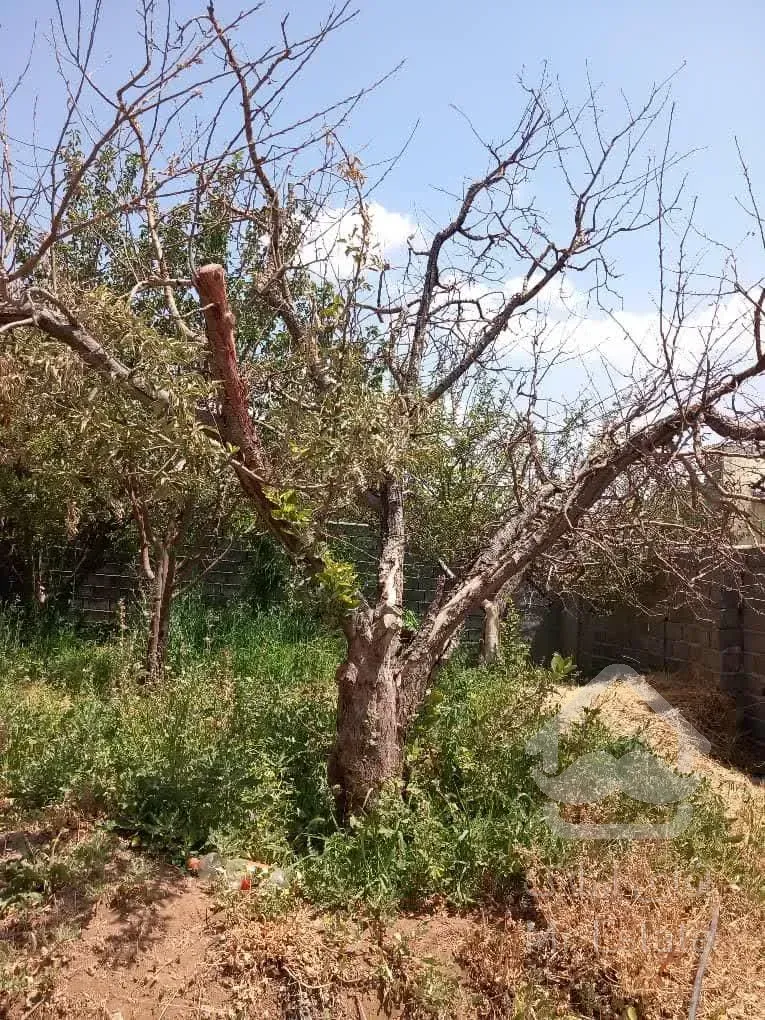 باغ 200 متری در دماوند