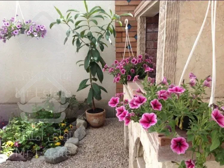 600 متر کلنگی در نیاوران