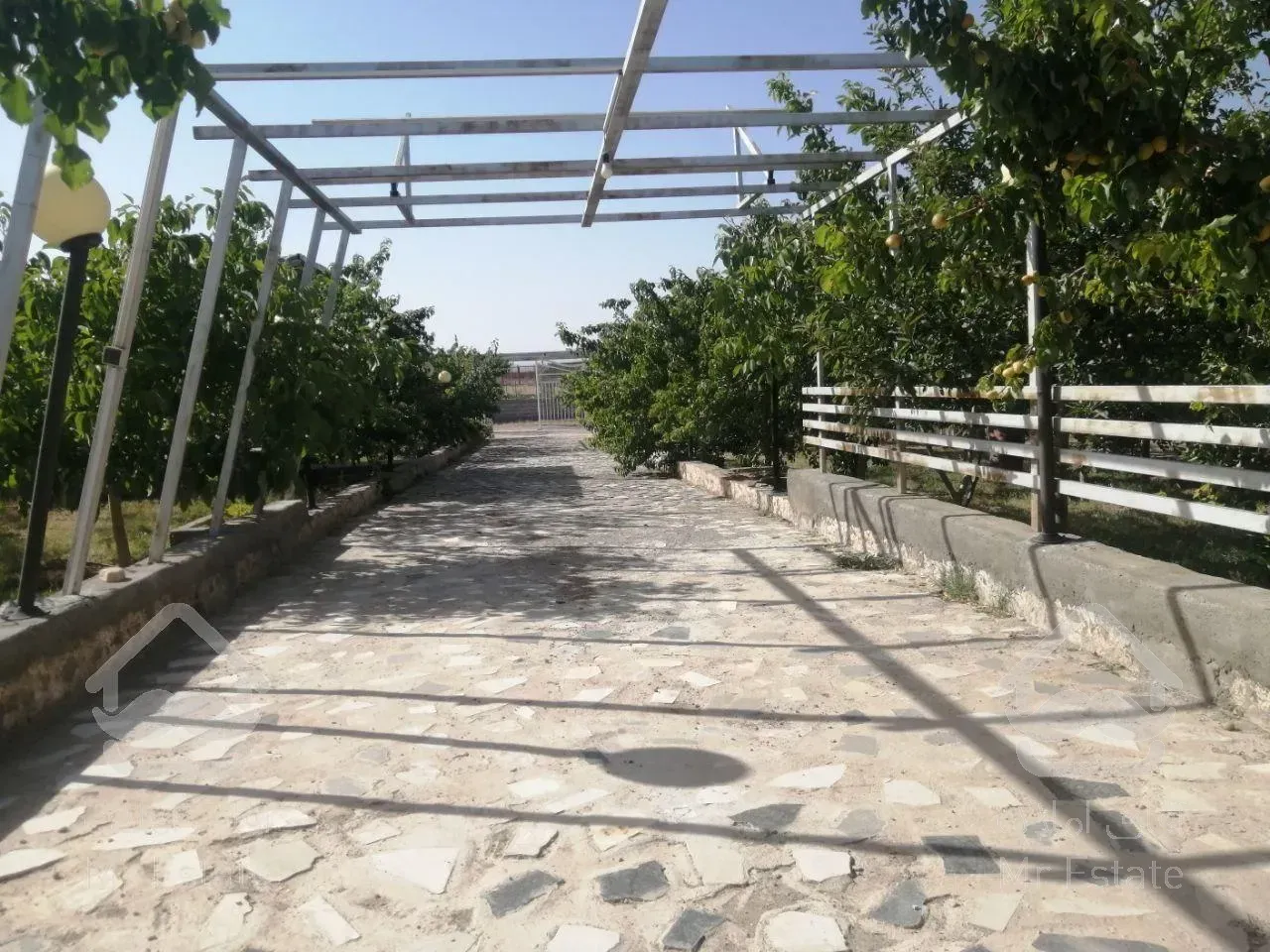 باغ ویلای 1500 متری سر سبز واقع در امند