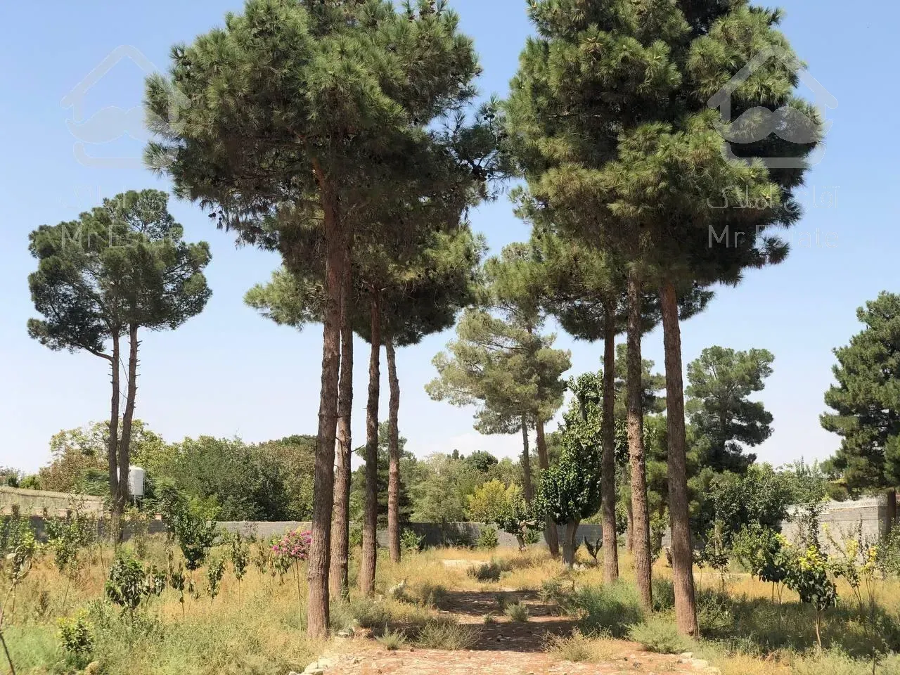 ۵۰۰۰ متر باغ ویلا ششدانگ تکبرگ مهرشهر کرج