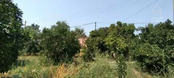 فروش باغ و خانه کلنگی