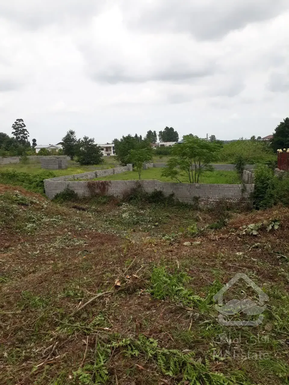 فروش زمین واقع در روستای تشگون هم کلی هم قعه