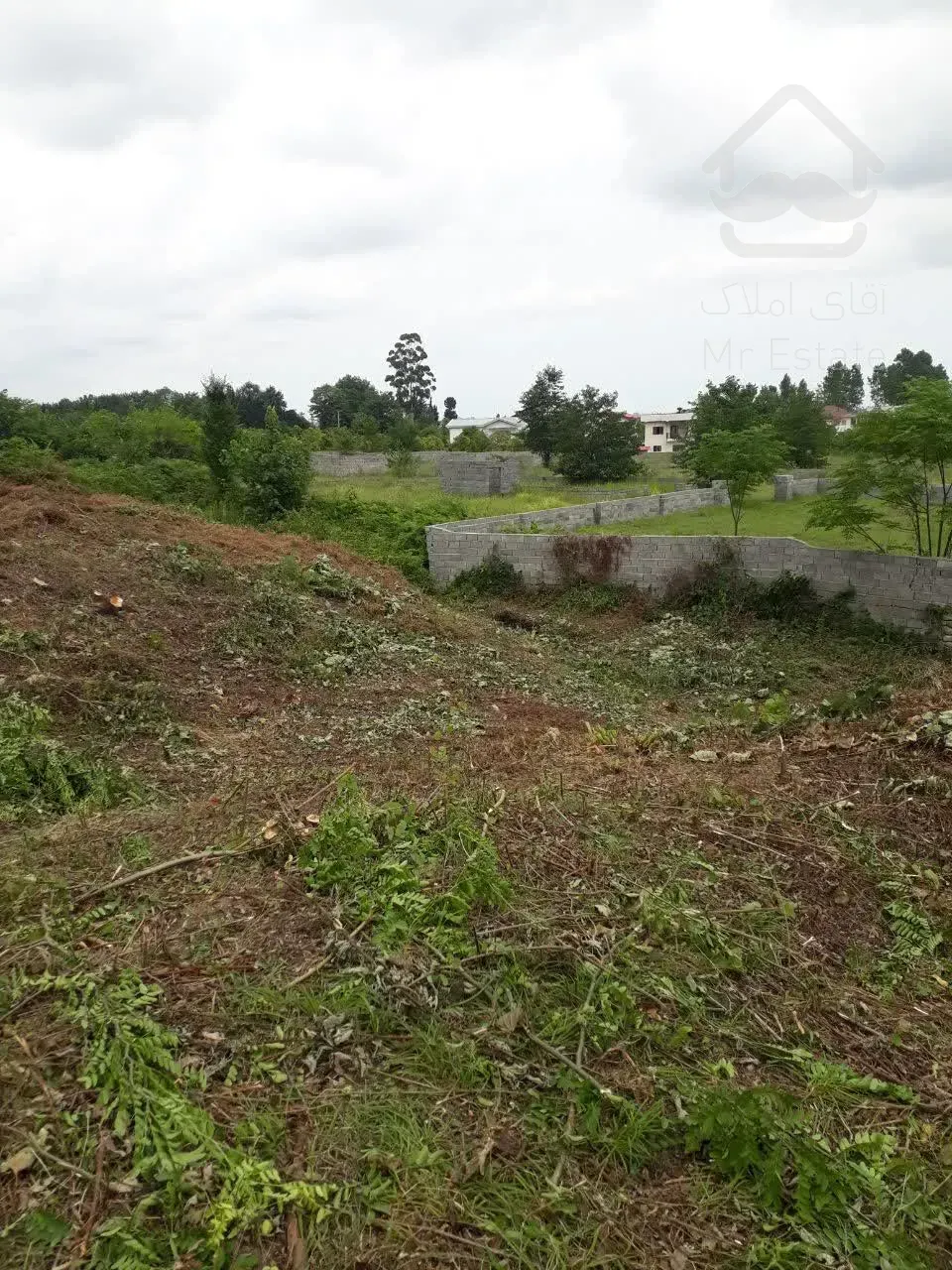 فروش زمین واقع در روستای تشگون هم کلی هم قعه